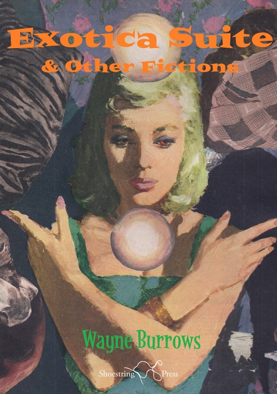 Wayne Burrows book cover Exotica Suite & Other Fictions