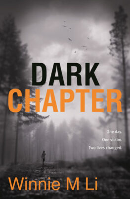 Front cover of Dark Chapter by Winnie M Li