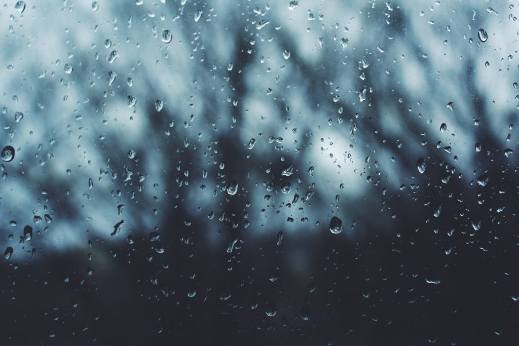 Rain drops, Noah Silliman