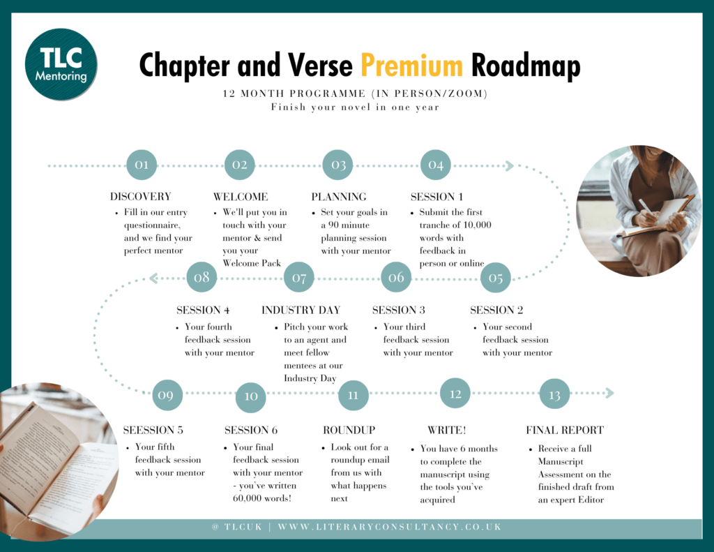 PREMIUM MENTORING ROADMAP showing the process from start to end, please click the image to download the roadmap